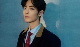 肖战最新电视剧爆料